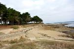 2016 10 14 morbihan 026